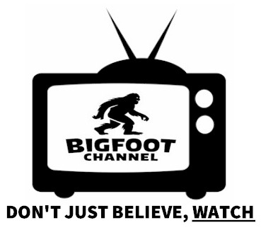 BigfootChannelWatch3.jpg (21542 bytes)