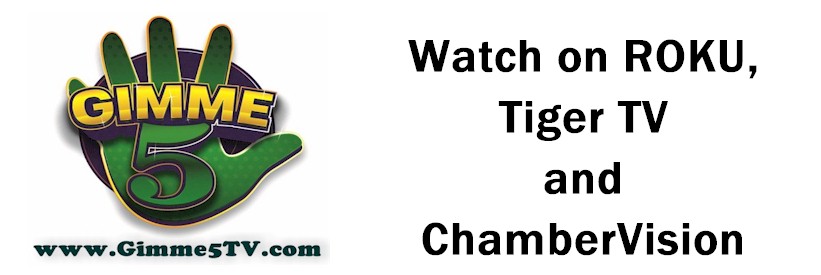 ROKUPage.jpg (43220 bytes)