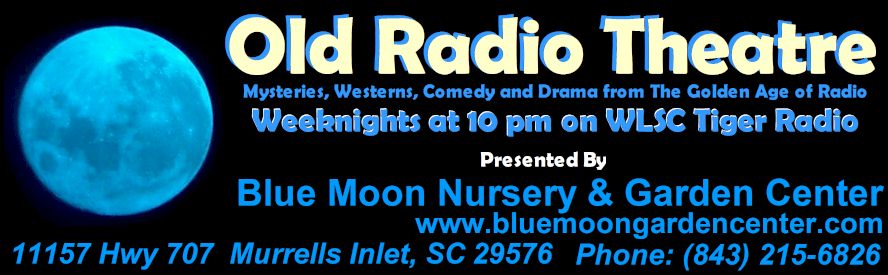 BlueMoon-OldRadio2.jpg (63119 bytes)