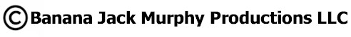 copyright.jpg (9338 bytes)
